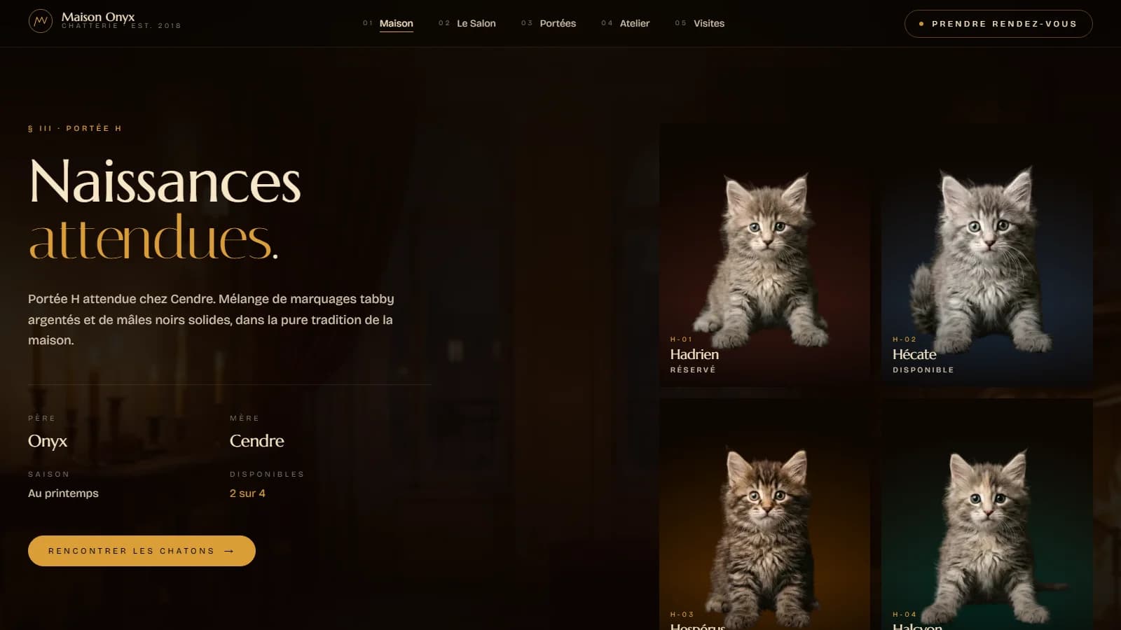 Section « § III · Portée H » titrée « Naissances attendues. » avec le pitch « Portée H attendue chez Cendre, mélange de marquages tabby argentés et de mâles noirs solides », les parents Onyx et Cendre, la mention « Au printemps · 2 sur 4 disponibles » et la grille des quatre chatons à droite (Hadrien réservé, Hécate disponible, Hespérus, Halcyon)