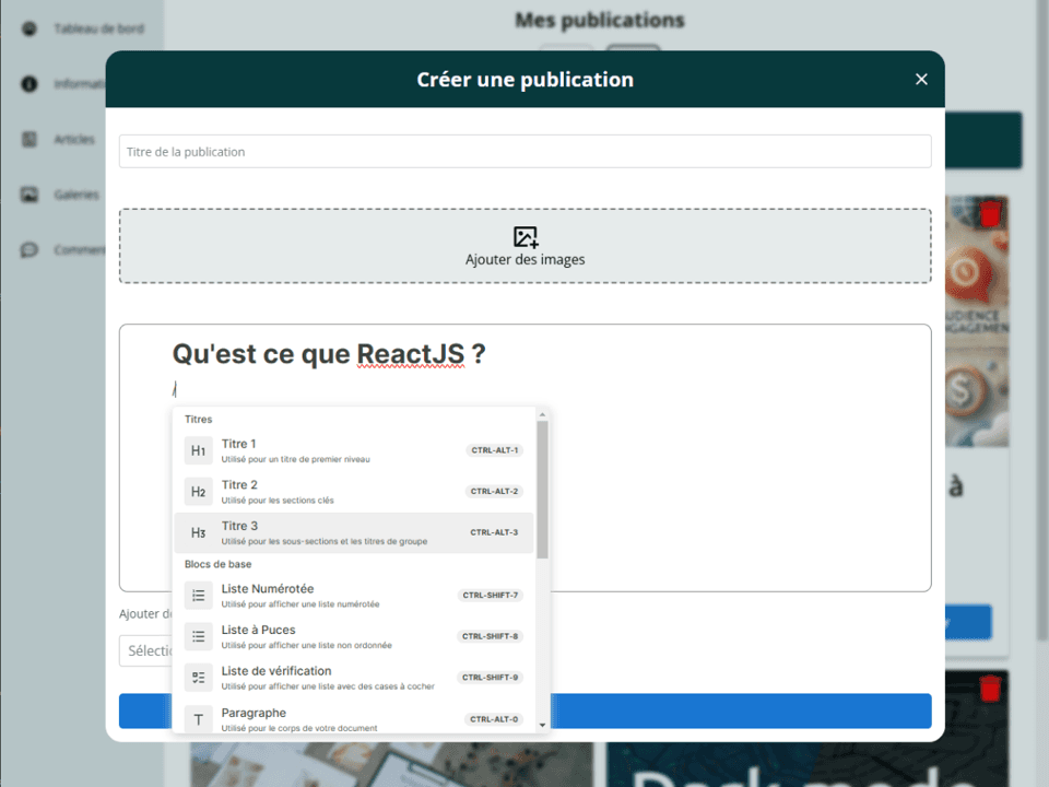 Capture d'écran de la création de publications